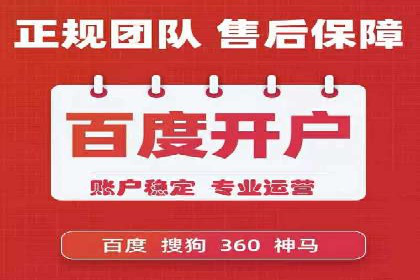 竞价端口开户后的广告投放策略案例